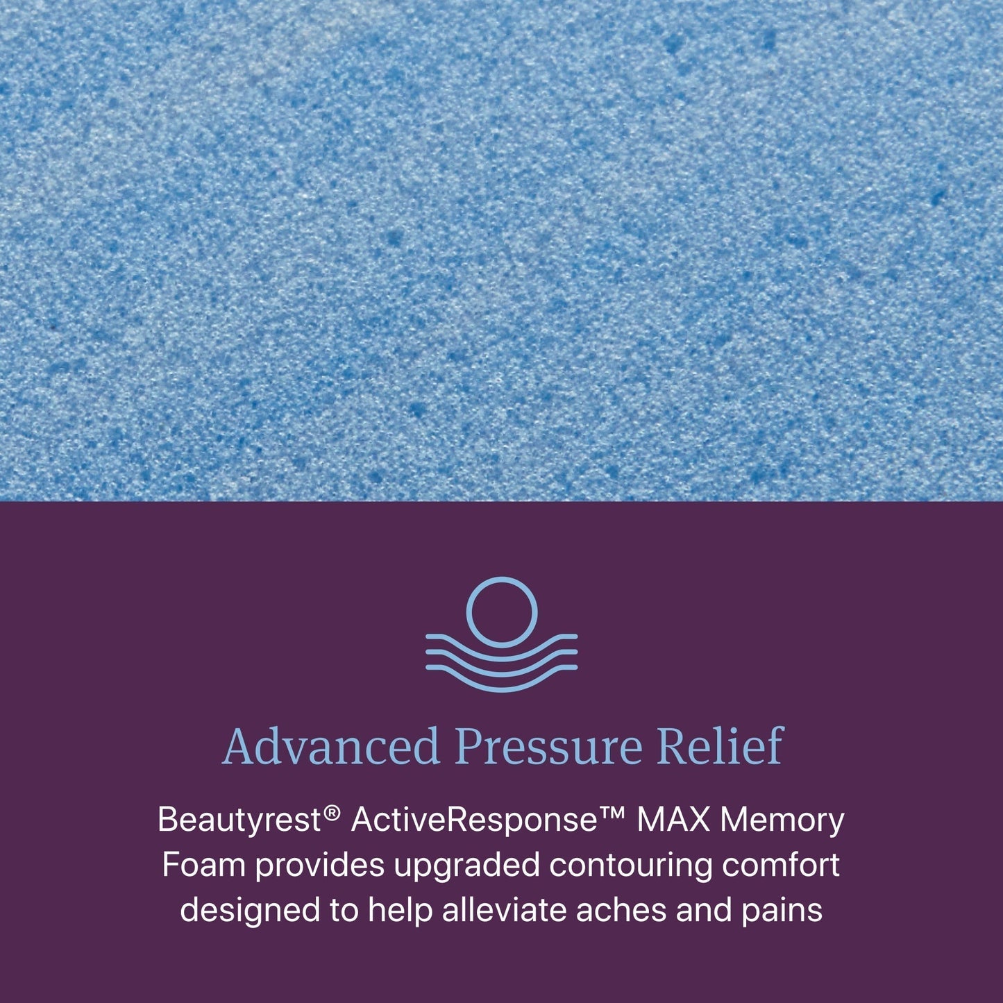 Beautyrest World Class Level Three Plush Mattress