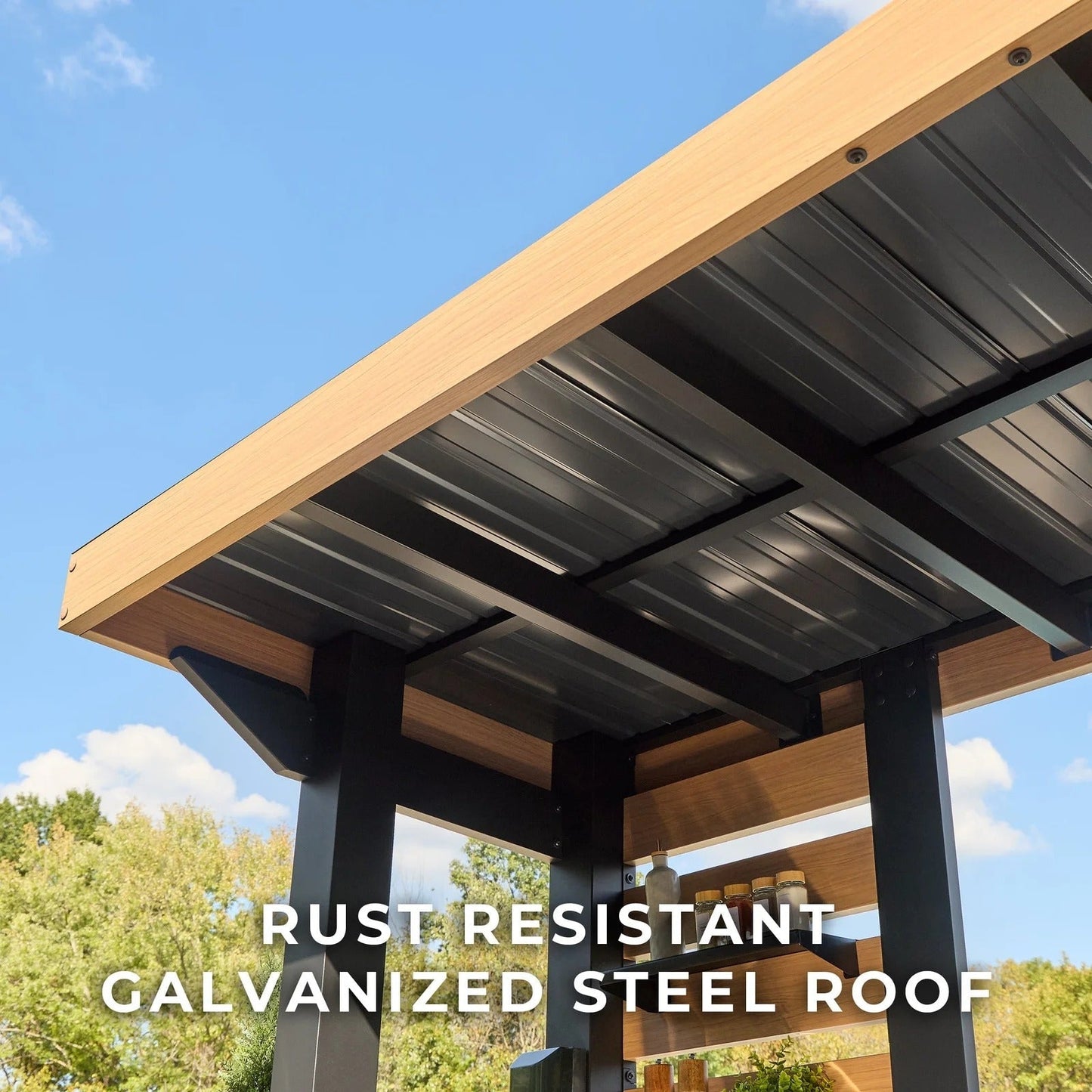 Fusion Flame 2 Outdoor Kitchen